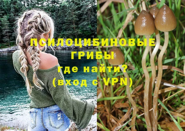 ALPHA PVP Беломорск