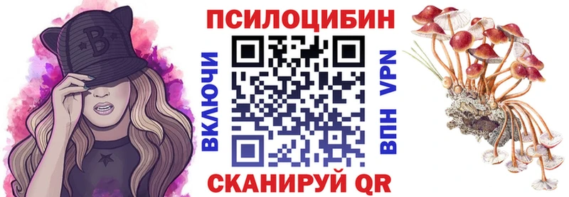 Купить  Талица  Псилоцибиновые грибы прущие грибы 