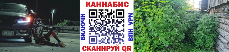 Купить  Талица  МАРИХУАНА марихуана 